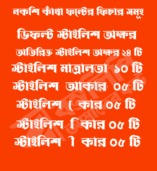 নকশি কাঁথা - Image 2